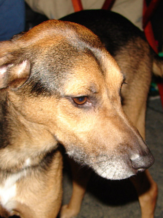 "Leroy"