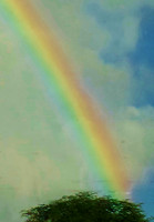 Colorful Welcome