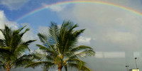Rainbows of Hawaii